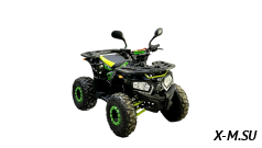 Квадроцикл Bison Gladiator 125