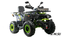 Квадроцикл MOTOLAND (МОТОЛЕНД)  VOX200 WILD TRACK X WINCH (баланс. вал)